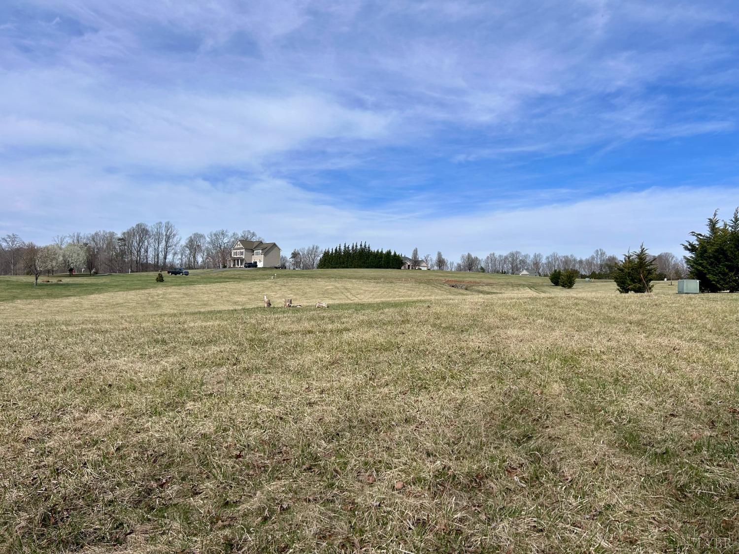 Lot 15 Arrington Drive, Evington, Virginia image 4
