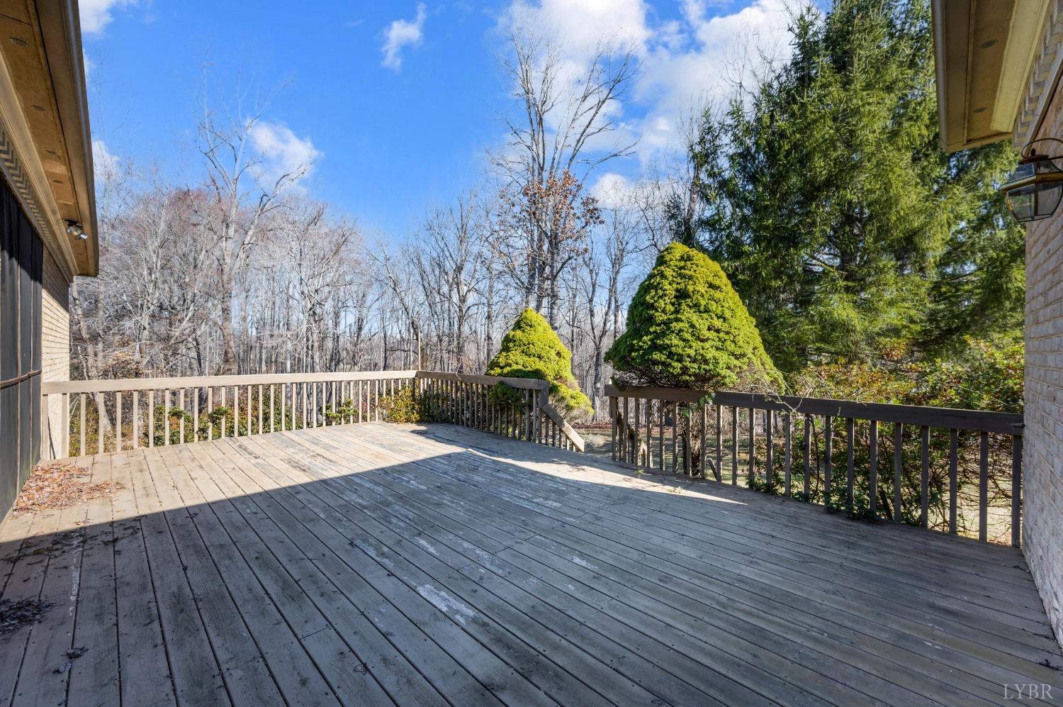113 Black Forest Drive Dr, Amherst, Virginia image 36