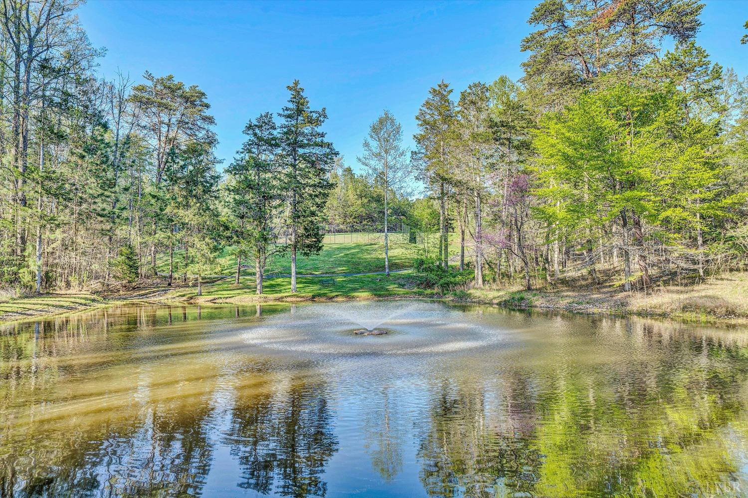 305 Runaway Bay Road, Lynch Station, Virginia image 8