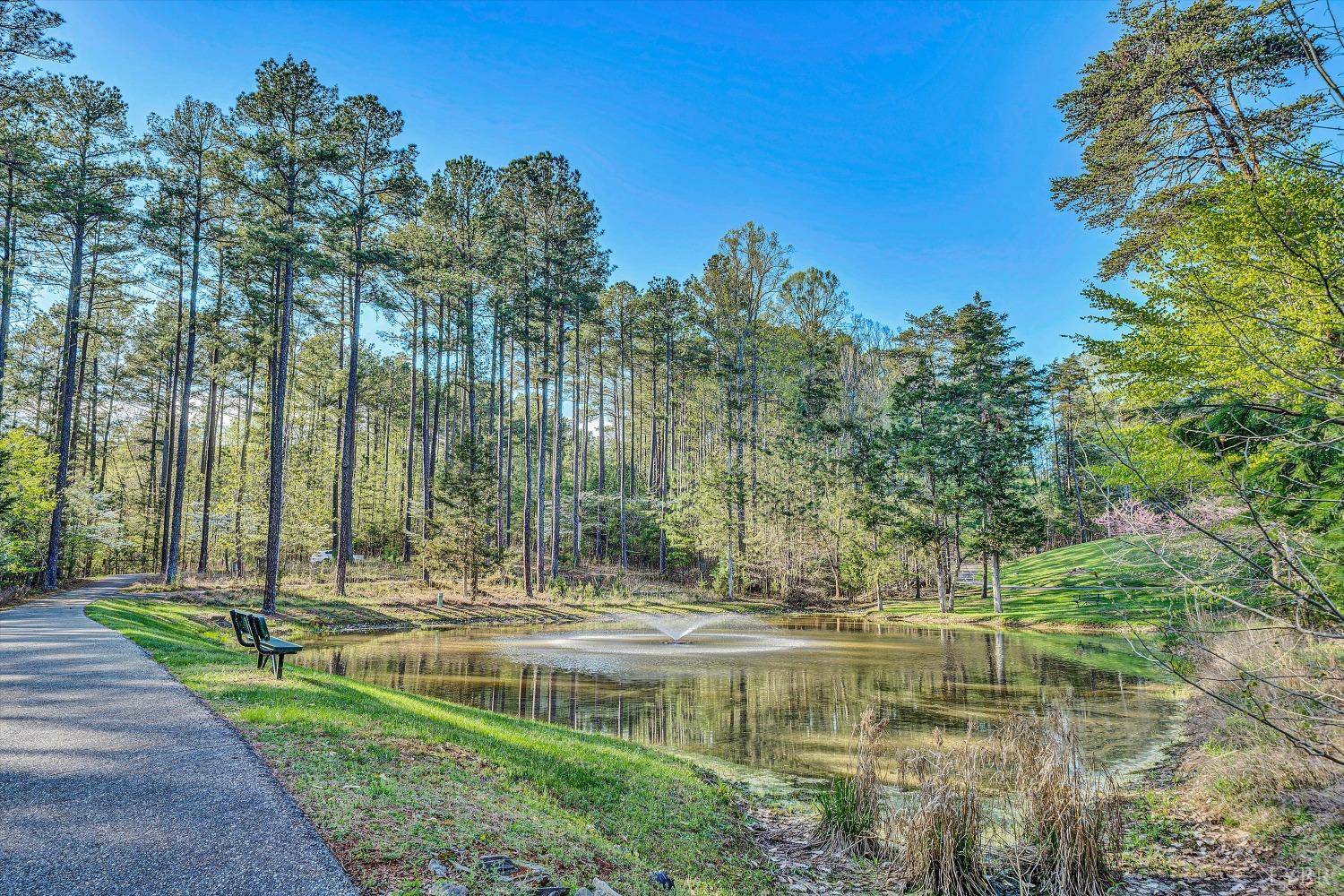 305 Runaway Bay Road, Lynch Station, Virginia image 16