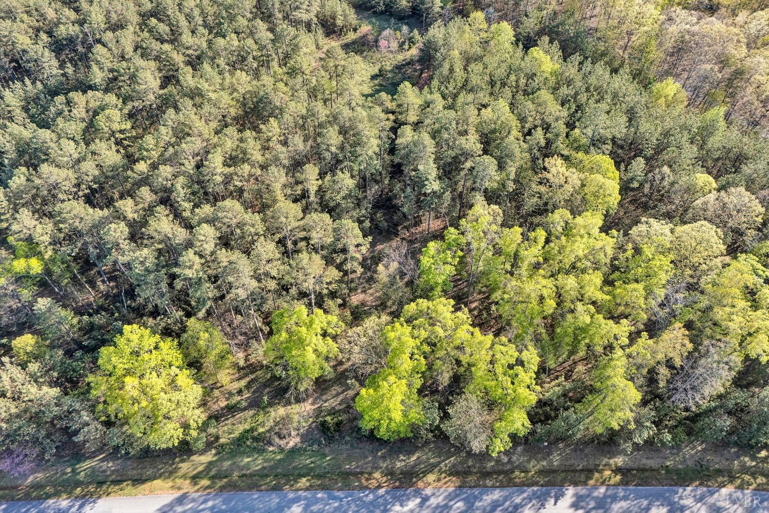 305 Runaway Bay Road, Lynch Station, Virginia image 5