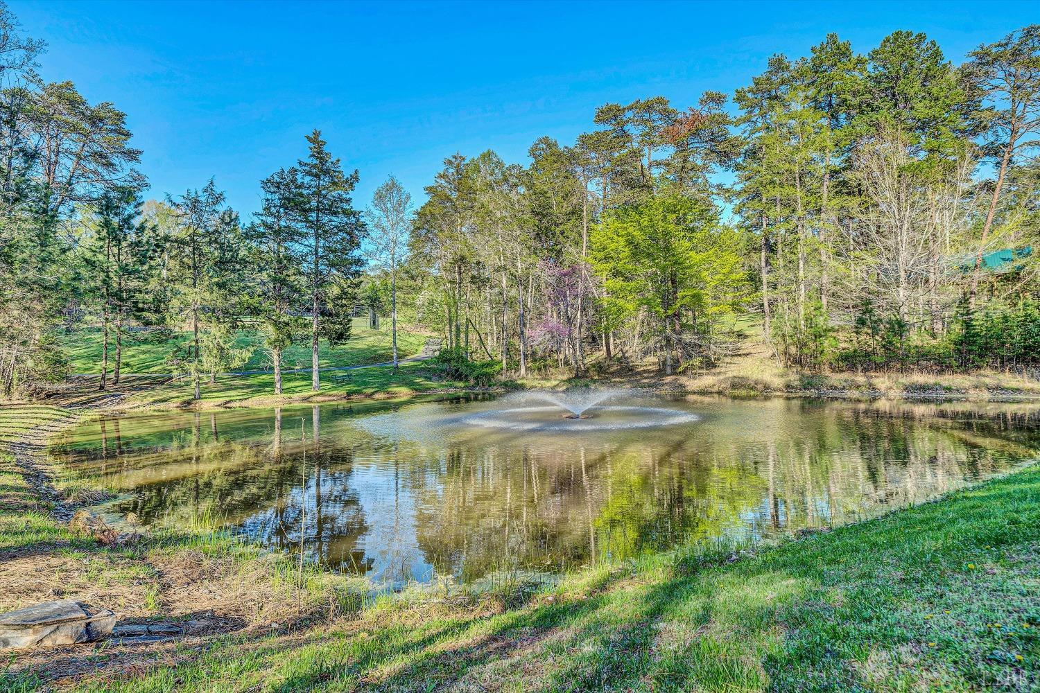 305 Runaway Bay Road, Lynch Station, Virginia image 10