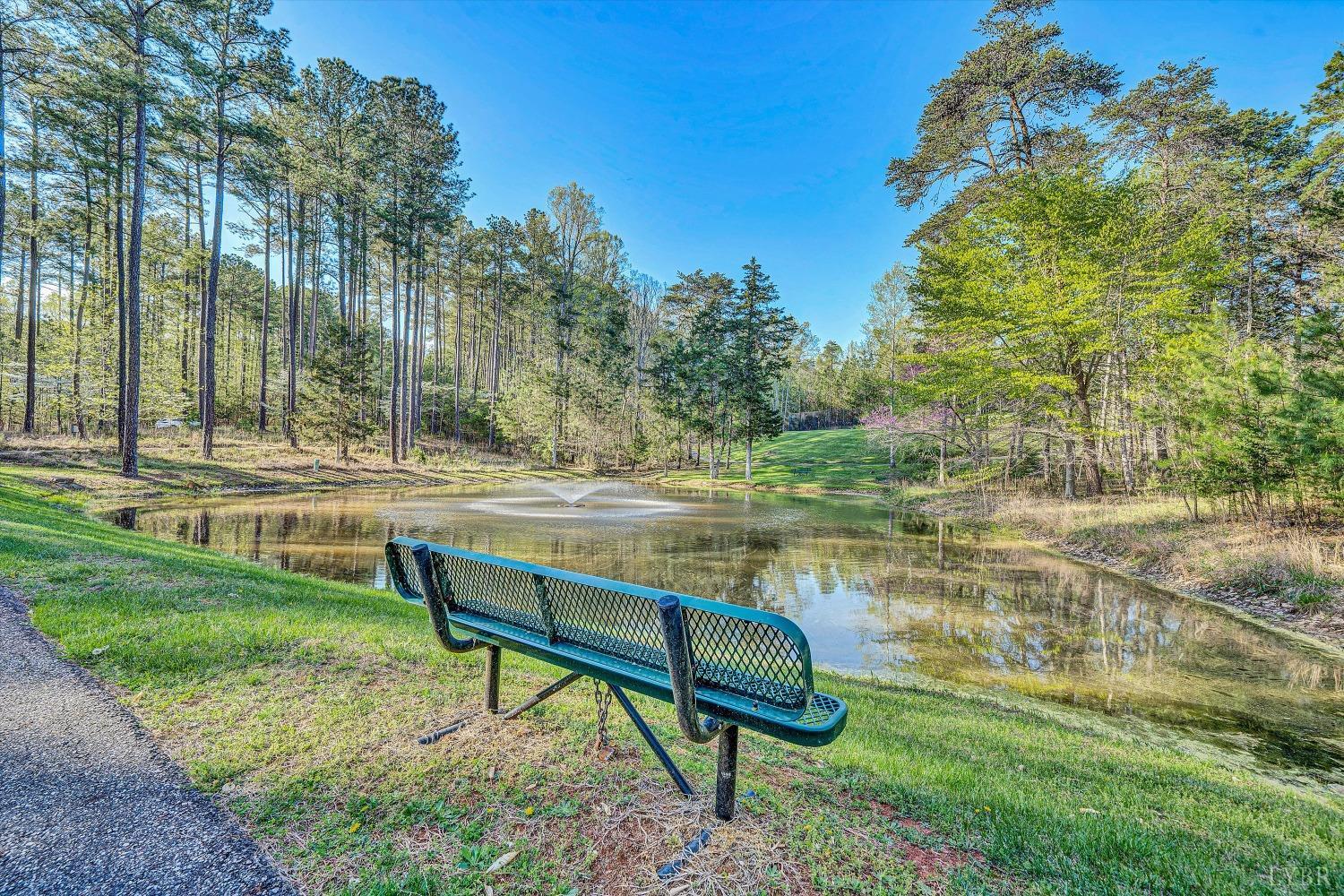 305 Runaway Bay Road, Lynch Station, Virginia image 11