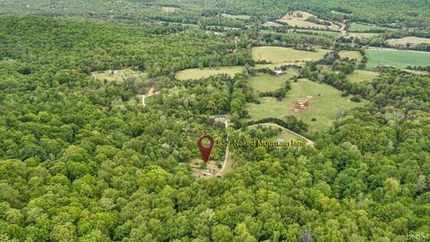 Tiny photo for 952 Naked Mountain Lane, Shipman, VA 22971 (MLS # 366129)