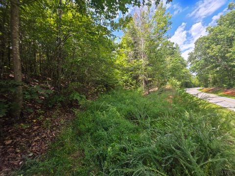 Vacant Land For Sale - Craftons Gate Highway<br/> Charlotte County, Drakes Branch, VA 23937