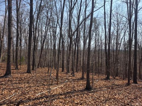 Tiny photo for 0 Otterwood Court, Evington, VA 24550 (MLS # 365064)