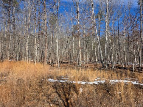 Tiny photo for 0 Otterwood Court, Evington, VA 24550 (MLS # 365064)