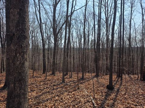 Tiny photo for 0 Otterwood Court, Evington, VA 24550 (MLS # 365064)