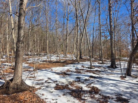 Tiny photo for 0 Otterwood Court, Evington, VA 24550 (MLS # 365064)