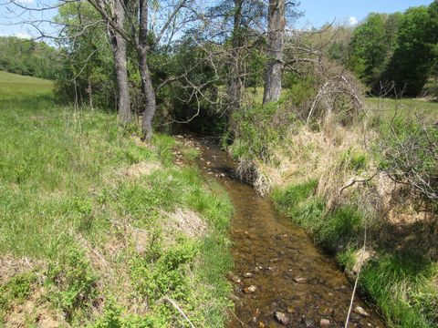 Tiny photo for 63 Sugar Hill Tunnel Road, Amherst, VA 24521 (MLS # 366113)