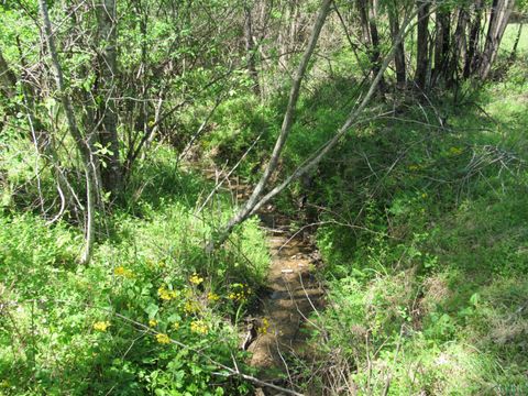 Tiny photo for 63 Sugar Hill Tunnel Road, Amherst, VA 24521 (MLS # 366113)