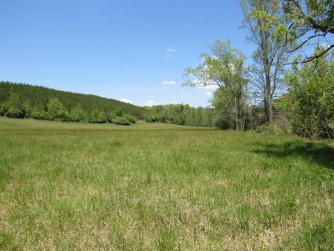Tiny photo for 63 Sugar Hill Tunnel Road, Amherst, VA 24521 (MLS # 366113)