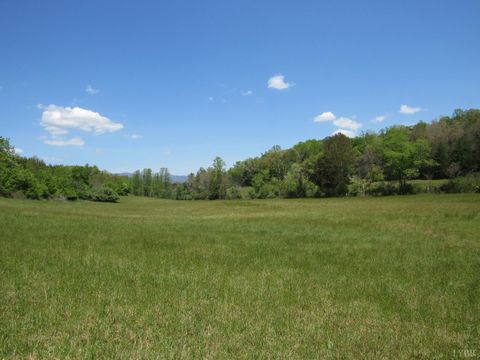 Tiny photo for 63 Sugar Hill Tunnel Road, Amherst, VA 24521 (MLS # 366113)