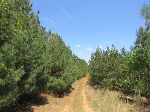 Tiny photo for 63 Sugar Hill Tunnel Road, Amherst, VA 24521 (MLS # 366113)