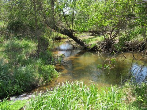 Tiny photo for 63 Sugar Hill Tunnel Road, Amherst, VA 24521 (MLS # 366113)