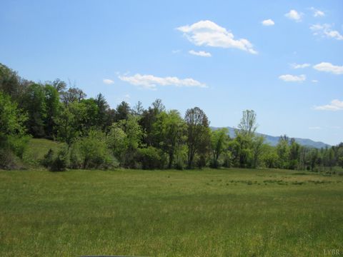 Tiny photo for 63 Sugar Hill Tunnel Road, Amherst, VA 24521 (MLS # 366113)