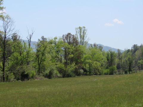 Tiny photo for 63 Sugar Hill Tunnel Road, Amherst, VA 24521 (MLS # 366113)