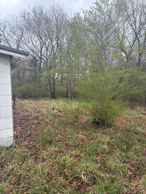 Tiny photo for 116 Sycamore Street, Brookneal, VA 24528 (MLS # 365126)