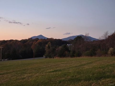 Tiny photo for 0 Moneta Road, Moneta, VA 24121 (MLS # 363268)