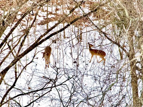 Tiny photo for 0 Depot Lane, Nathalie, VA 24577 (MLS # 364375)