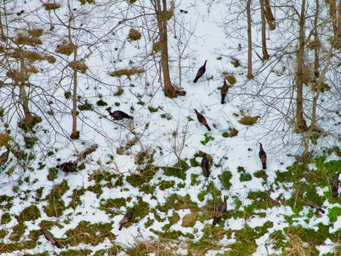 Tiny photo for 0 Depot Lane, Nathalie, VA 24577 (MLS # 364375)