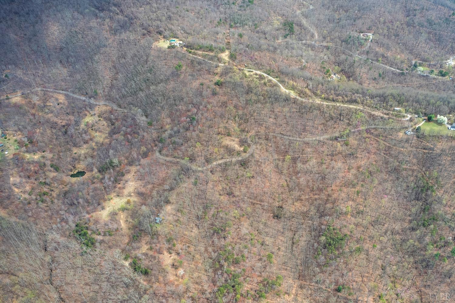 Murray Hollow Road, Thaxton, Virginia image 13