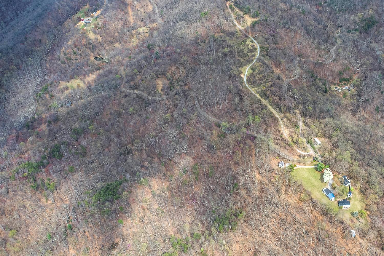 Murray Hollow Road, Thaxton, Virginia image 5