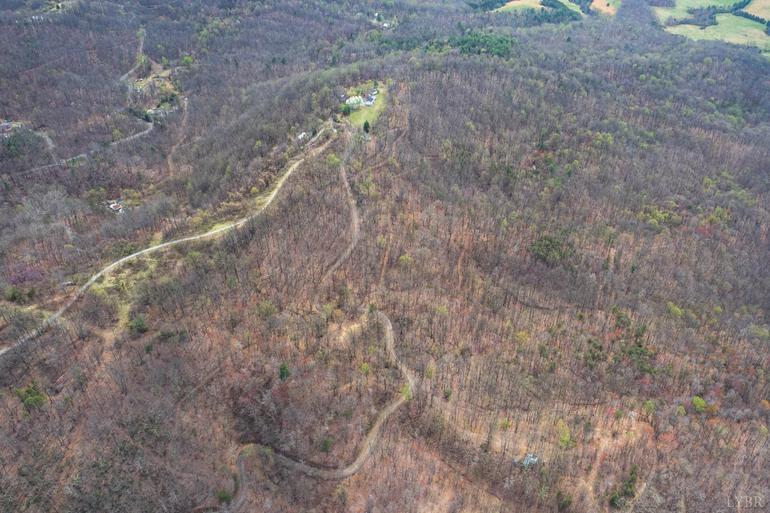 Murray Hollow Road, Thaxton, Virginia image 11
