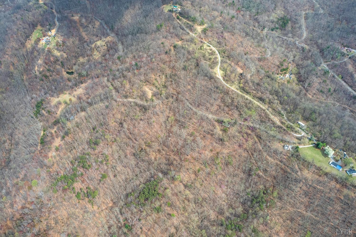 Murray Hollow Road, Thaxton, Virginia image 6