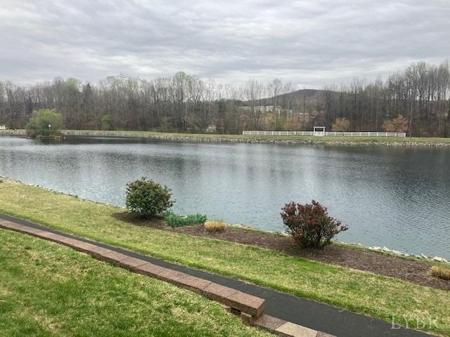 32 Shore Line Drive, Lynchburg, Virginia image 23