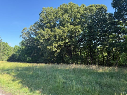 WINGFIELD DR, GOODE, VA 24556 - Image fb3c0806e93d75ea7caae758eb6940e9/3718181736