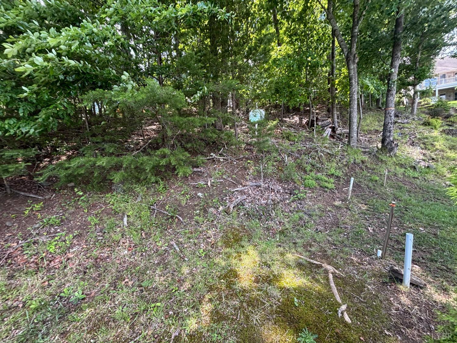 415 Strawberry Banks Drive, Moneta, Virginia image 9