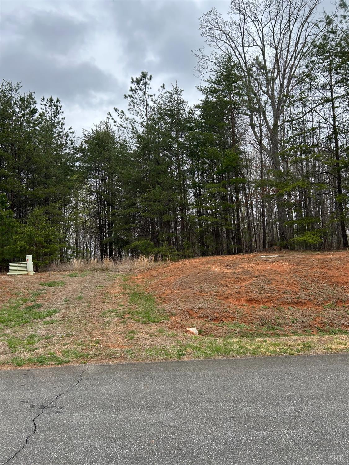 107 Runaway Bay Road, Lynch Station, Virginia image 5