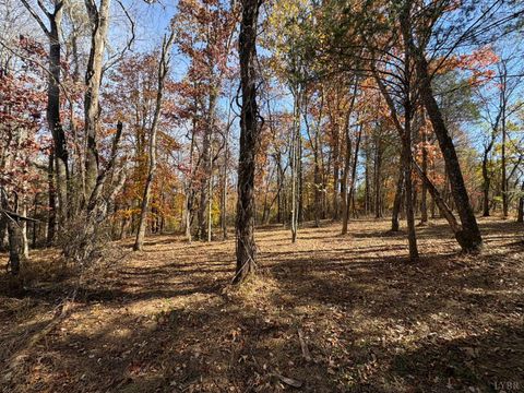 Tiny photo for 9 Dulwich Drive, Amherst, VA 24521 (MLS # 362942)