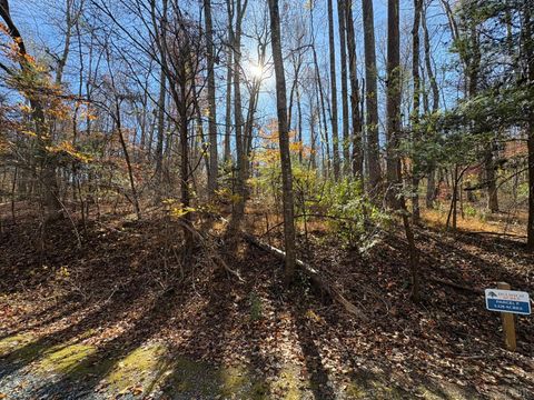 Tiny photo for 9 Dulwich Drive, Amherst, VA 24521 (MLS # 362942)
