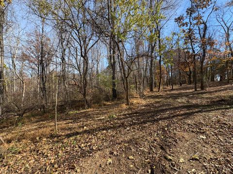 Tiny photo for 9 Dulwich Drive, Amherst, VA 24521 (MLS # 362942)