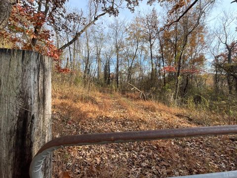 Tiny photo for 0 Five Forks Road, Bedford, VA 24523 (MLS # 364218)