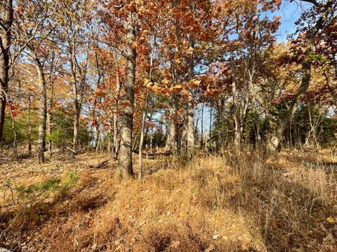 Tiny photo for 0 Five Forks Road, Bedford, VA 24523 (MLS # 364218)