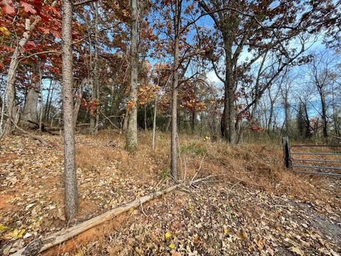 Tiny photo for 0 Five Forks Road, Bedford, VA 24523 (MLS # 364218)