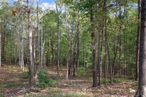 Tiny photo for 5211 Covered Bridge Road, Gladys, VA 24554 (MLS # 362429)