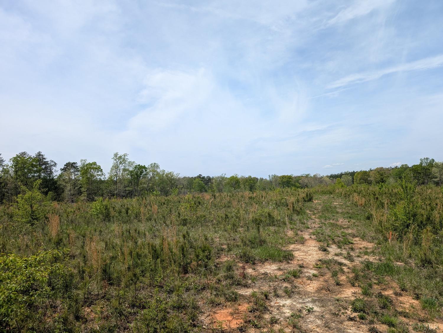 Lewis Ford Road, Brookneal, Virginia image 3