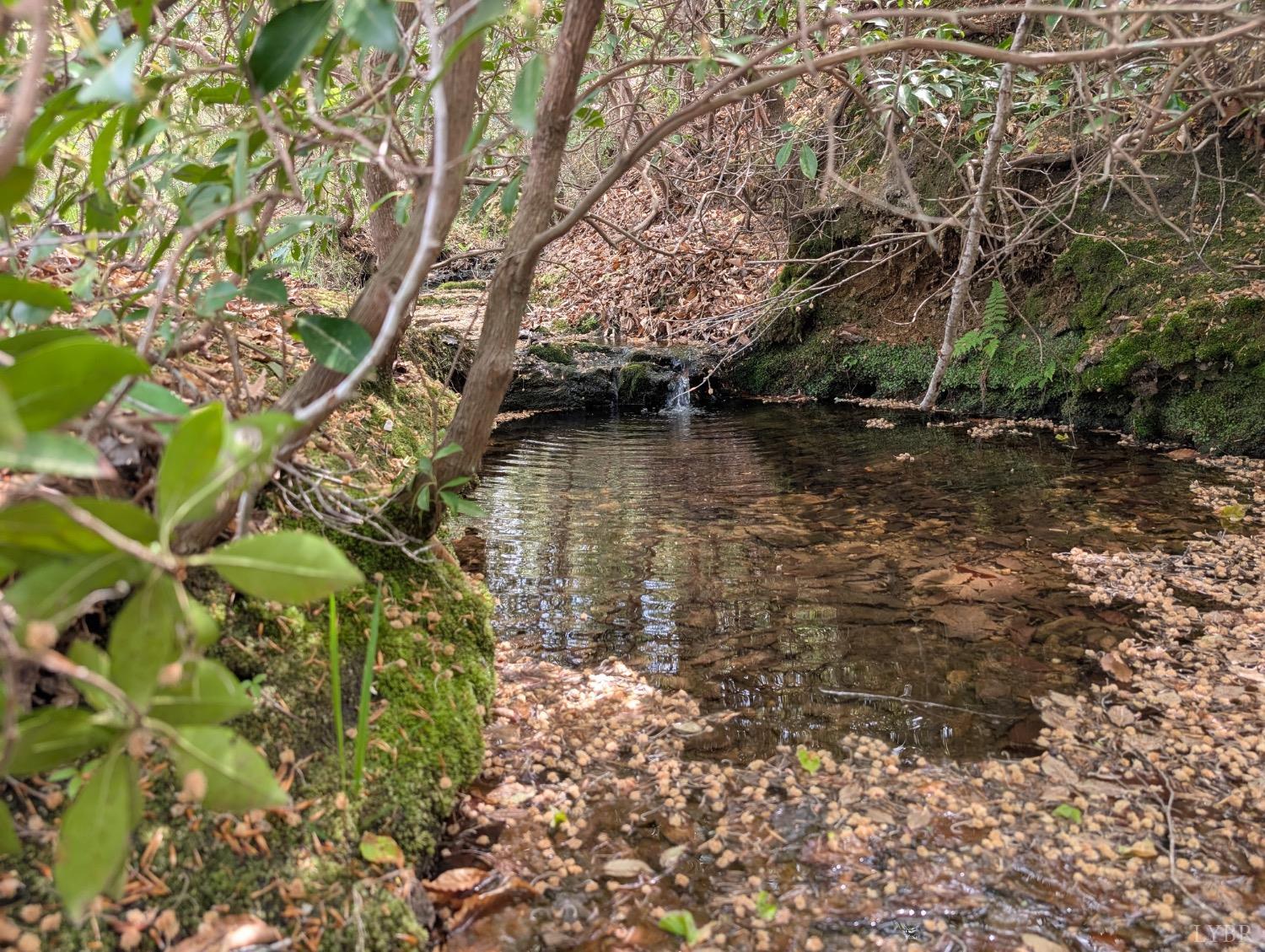 Lewis Ford Road, Brookneal, Virginia image 1