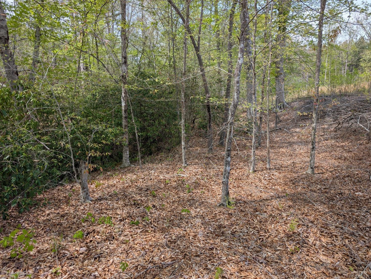 Lewis Ford Road, Brookneal, Virginia image 4