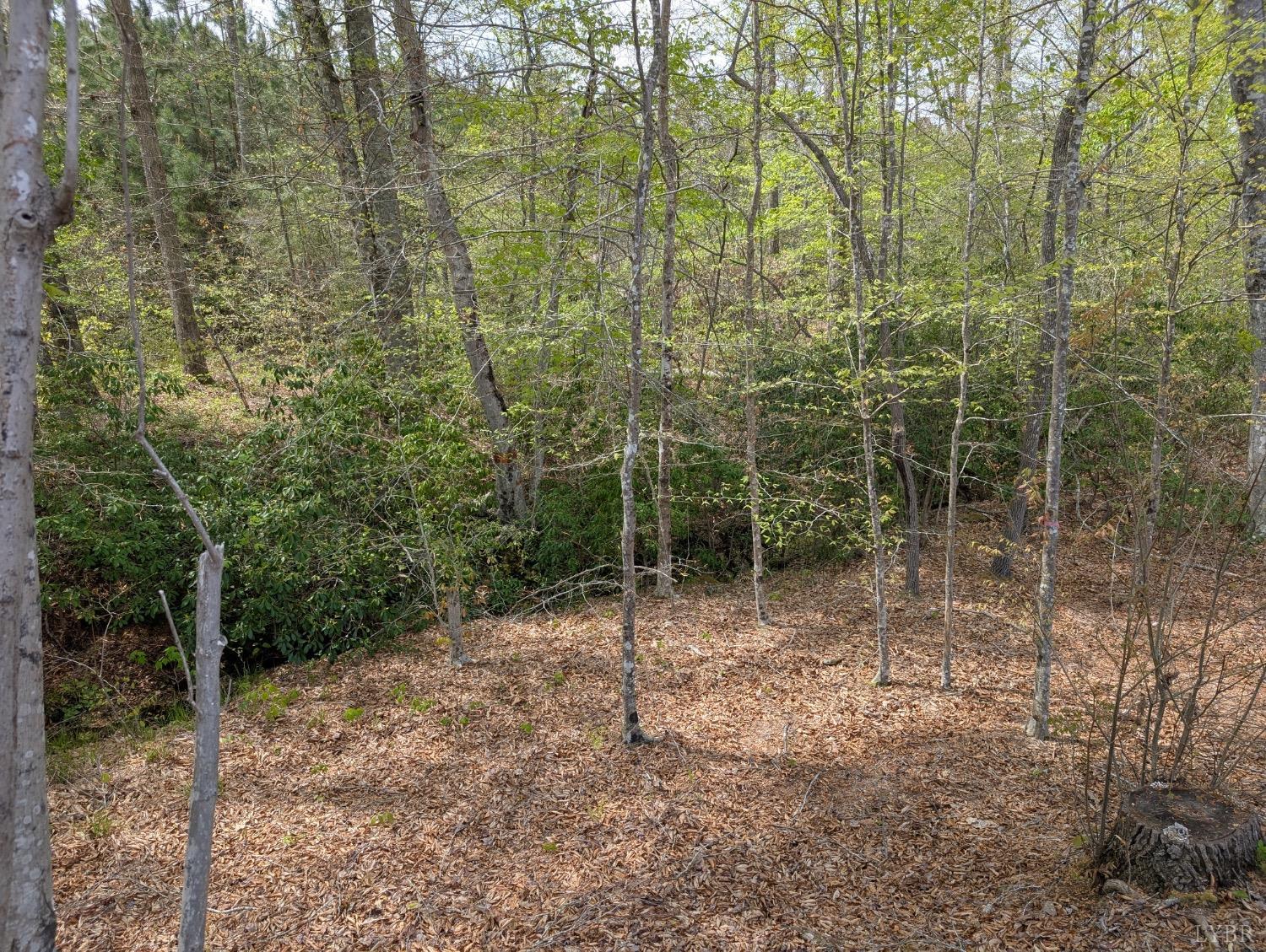 Lewis Ford Road, Brookneal, Virginia image 5