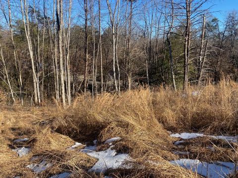 Photo of 0 Wright Shop Road, Madison Heights, VA 24572 (MLS # 362525)