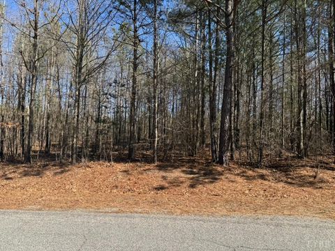 Photo of 0 Sturgeon Road, Dolphin, VA 23843 (MLS # 365769)