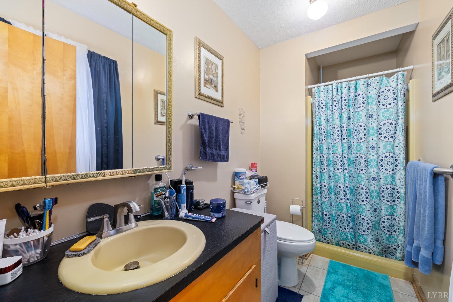305 Patrick Street, Lynchburg, Virginia image 36