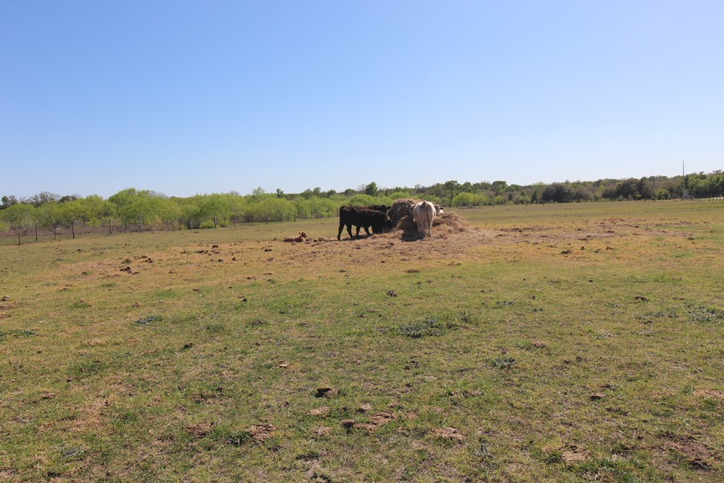 Round Top, Texas, 78946, United States, 3 Bedrooms Bedrooms, ,3 BathroomsBathrooms,Residential,Active,2034012