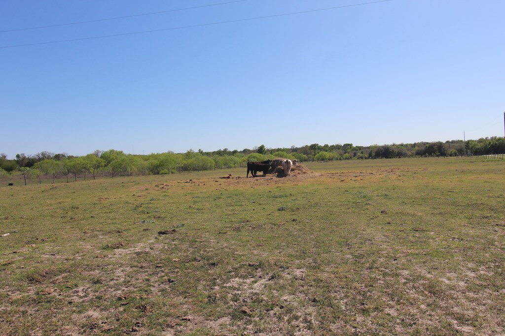 Round Top, Texas, 78946, United States, 3 Bedrooms Bedrooms, ,3 BathroomsBathrooms,Residential,Active,2034012