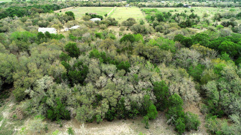 Round Top, Texas, 78946, United States, 3 Bedrooms Bedrooms, ,3 BathroomsBathrooms,Residential,Active,2034012